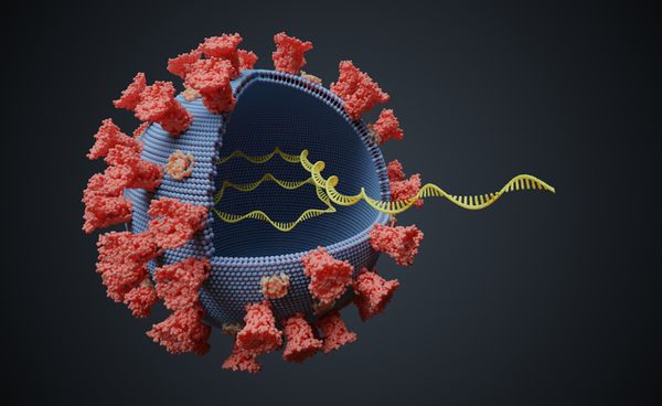 COVID-19 Bill Would Scale Up Ability to Spot Virus Mutations